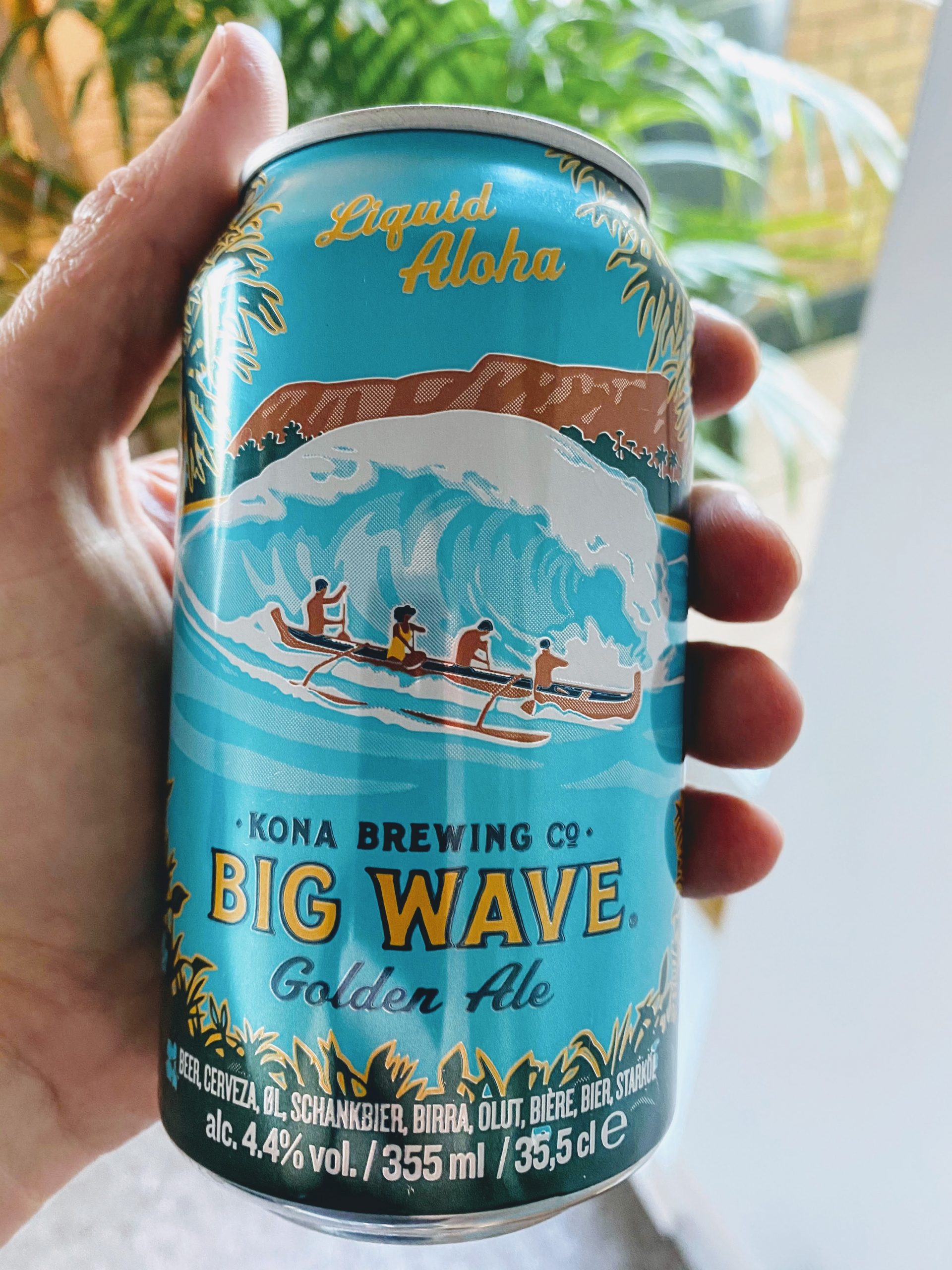 Travel joy Hawaiian beers ScribbleStu